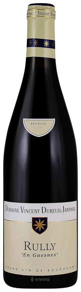 Domaine-Dureuil-Janthial-En-Guesne-Rully-2019-Red-Burgundy-Hapiwine Shop