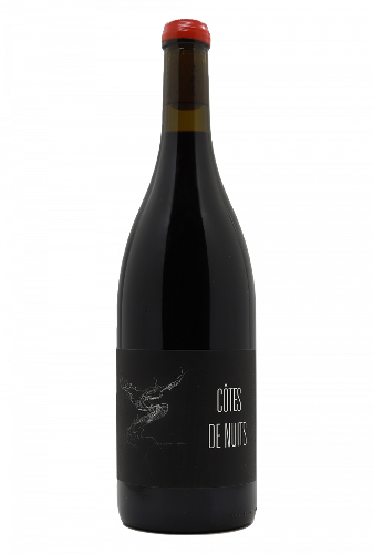 Arnaud Lopez Maison Pinot Noar Cotes de Nuits Pinot noir 2022 Red Burgundy - Hapiwine Shop