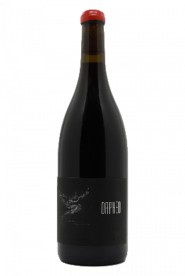 Arnaud Lopez Maison Pinot Noar Orpheo Pinot noir 2022 Red Burgundy - Hapiwine Shop