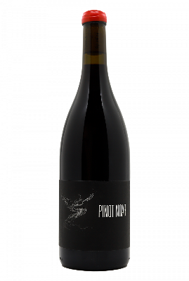 Arnaud Lopez Maison Pinot Noar Pinot Noar Hautes Côtes de Nuits 2022 Red Burgundy - Hapiwine Shop