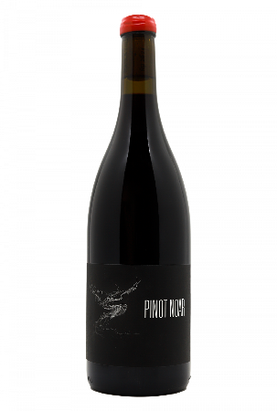 Arnaud Lopez Maison Pinot Noar Pinot Noar Hautes Côtes de Nuits 2023 Red Burgundy - Hapiwine Shop