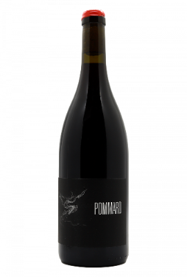 Arnaud Lopez Maison Pinot Noar Pommard 2023 Red Burgundy - Hapiwine Shop